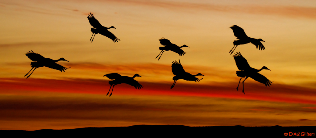 Sandhills at Sunset
