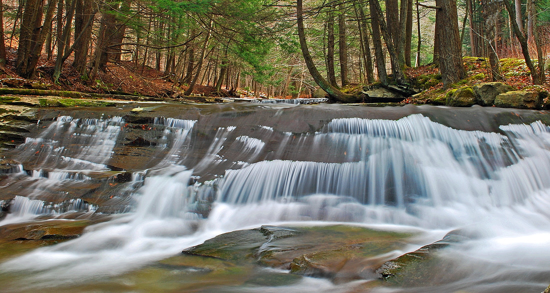In With Two Feet