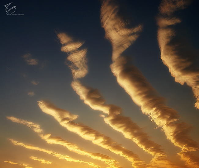 Light From Heaven