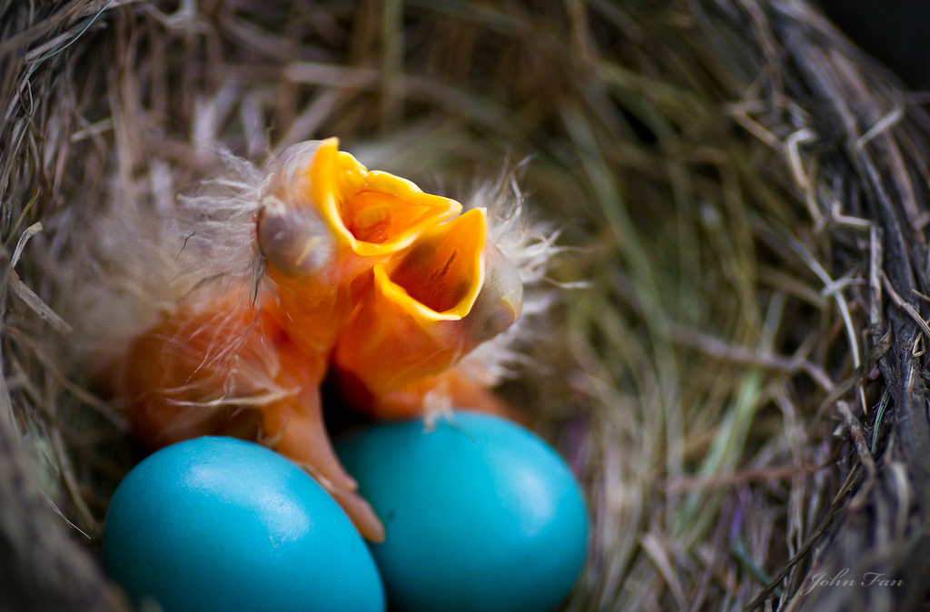 Waiting for Mom