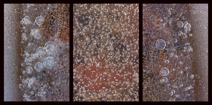 WC #463 - Iced bubbles