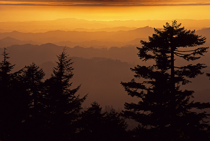 Endless Ridges