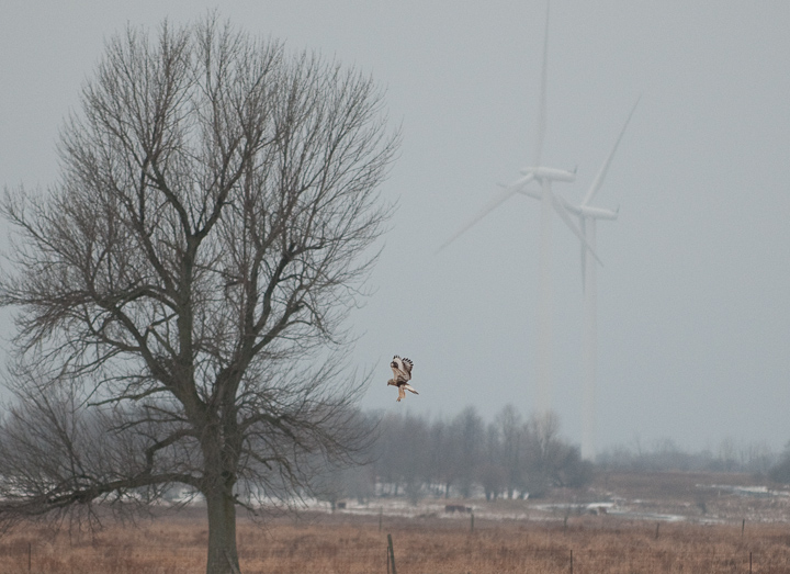Wind Power