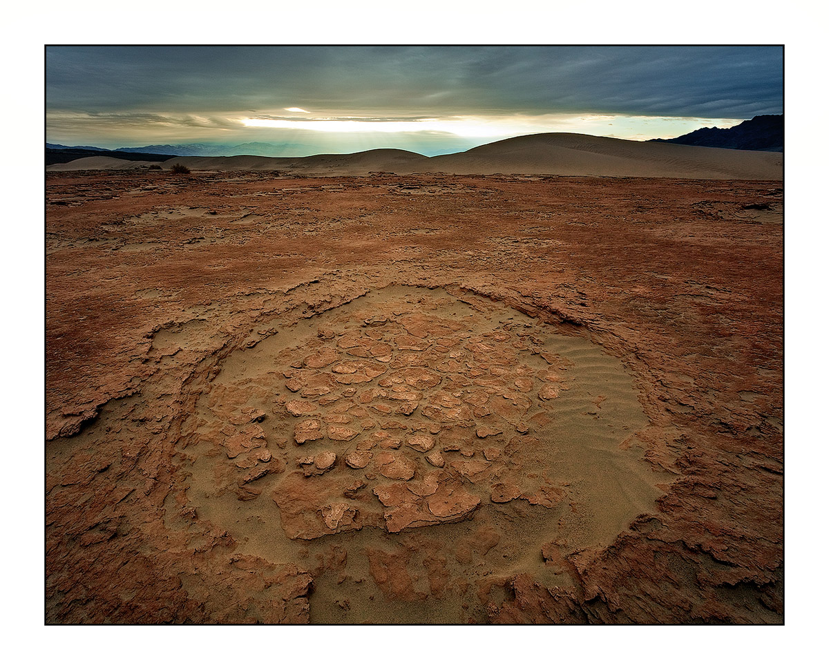 primordial  beginnings