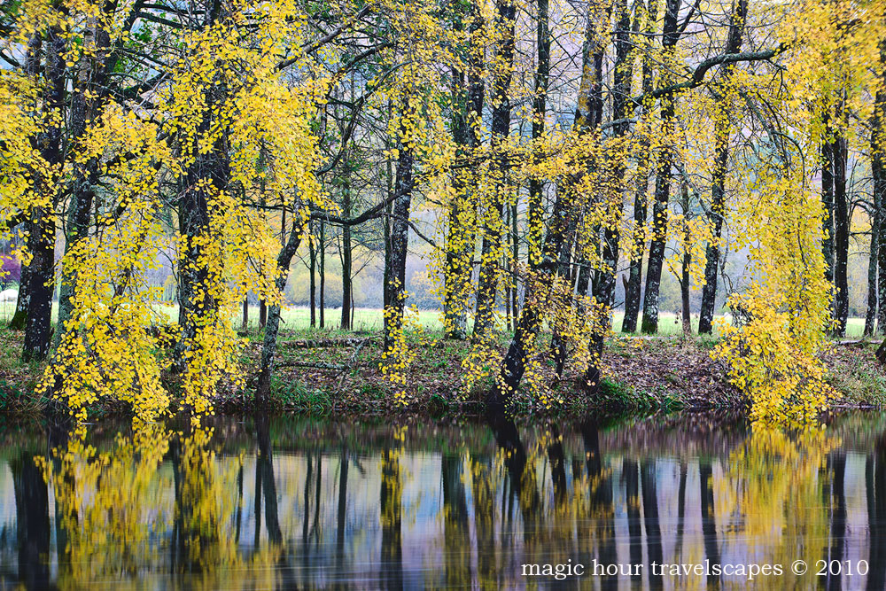 Autumn Tapestry