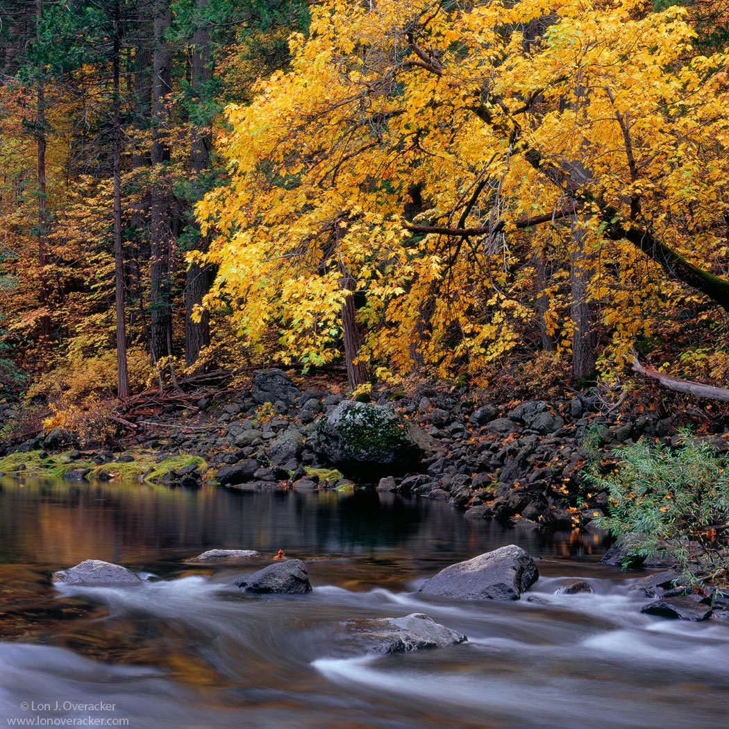 Tranquil Merced Autumn
