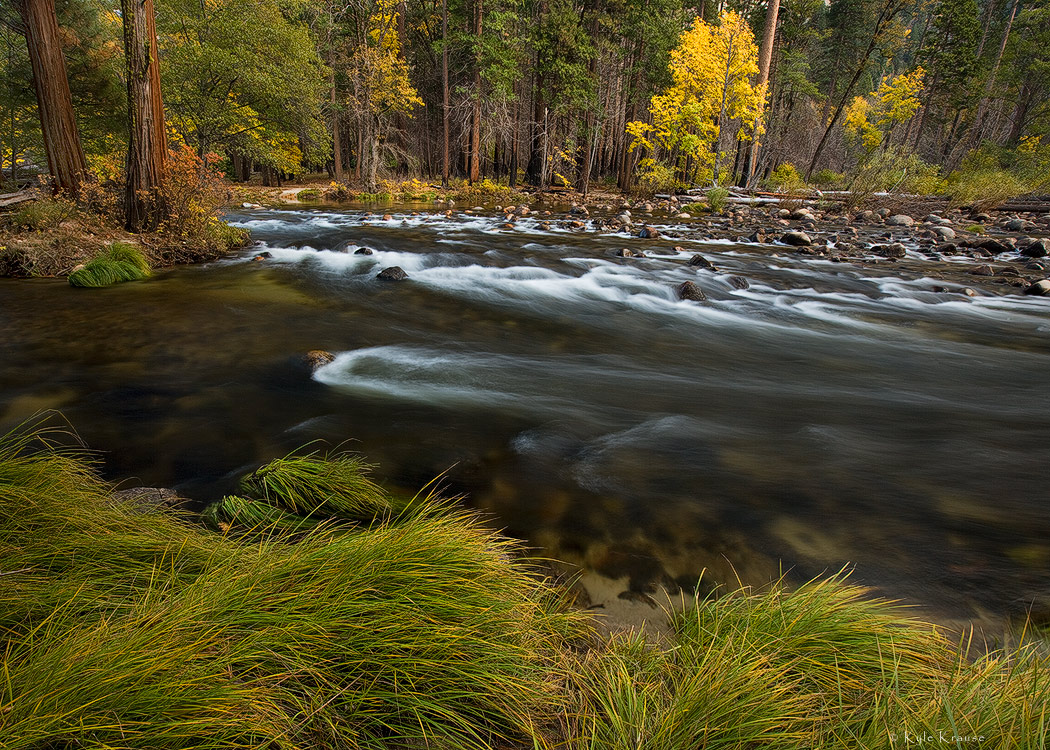 Autumn on the Merced