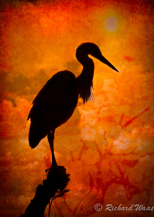 Silhouette at Sunrise