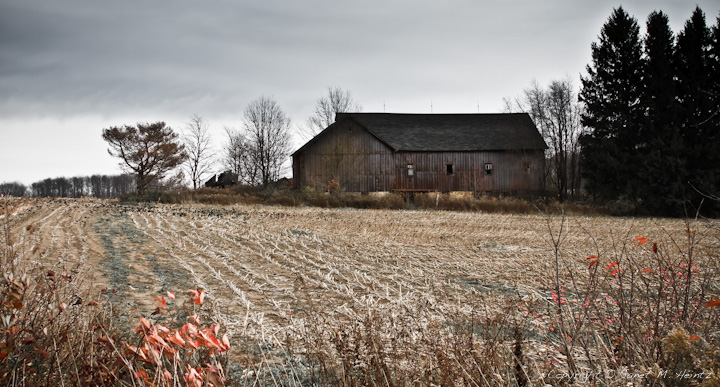 Barn at Sunset