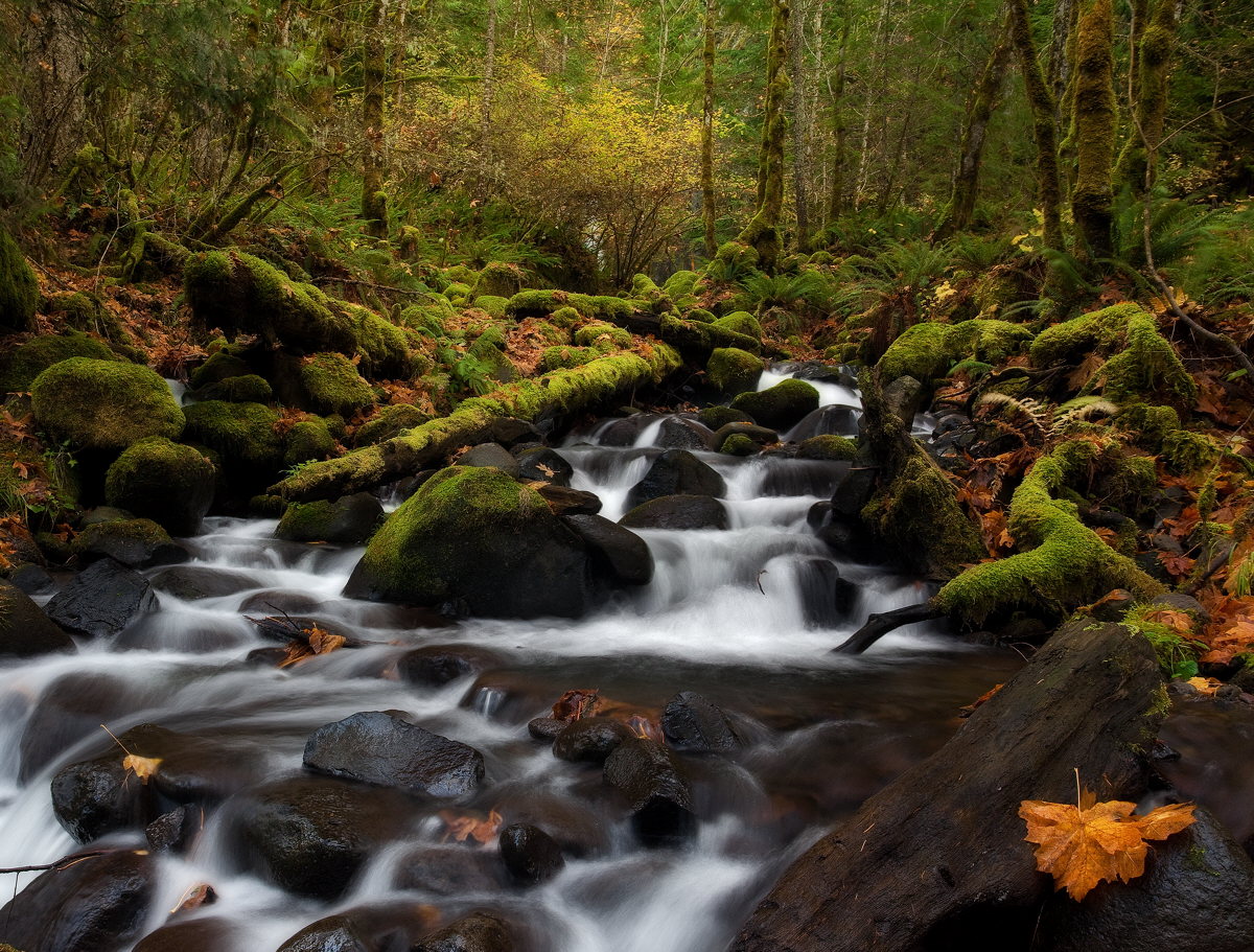 Dry Creek Falls