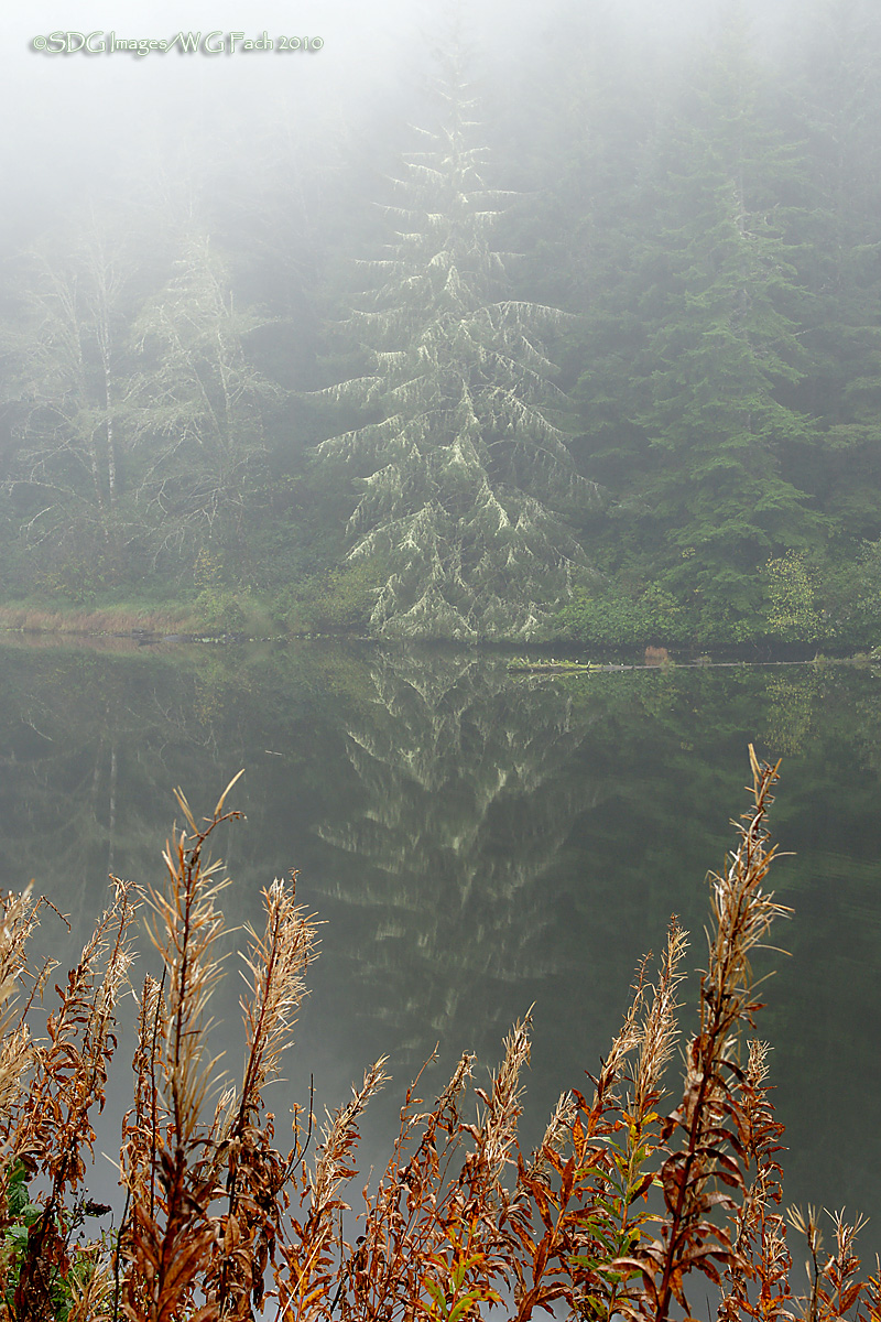 By Still Waters or . . .