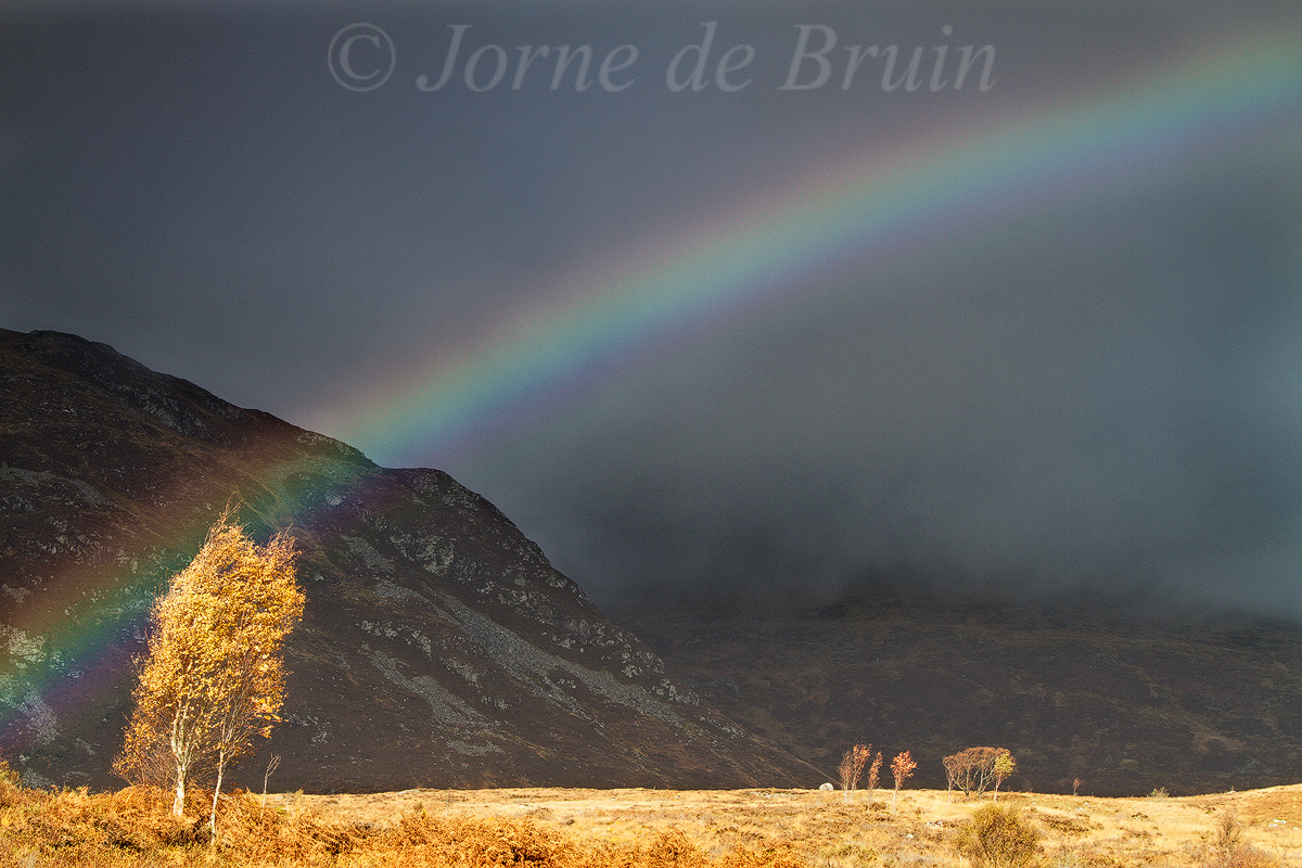 Under the Rainbow