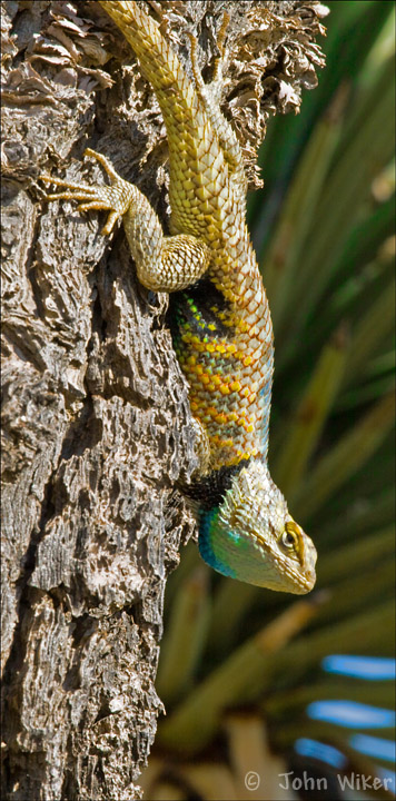 Hangin' Out
