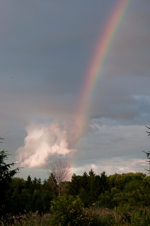 Back yard rainbow