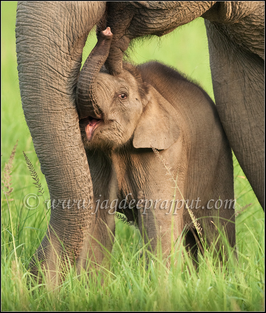 A touching moment