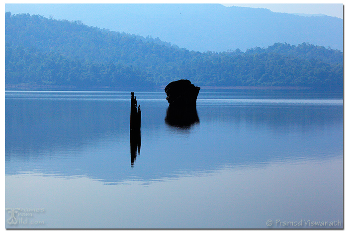 Reflections of dead