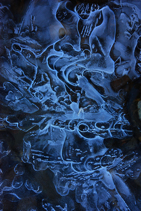 A Nightmare in Ice