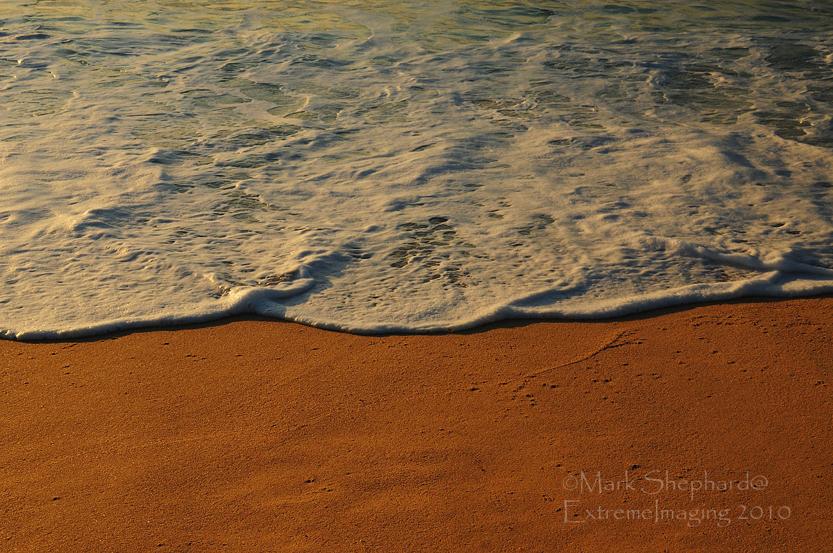 Earth and Sea