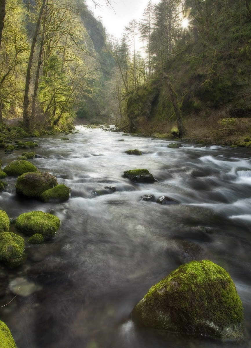 Columbia Gorge Winter