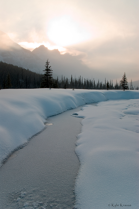 moody winter