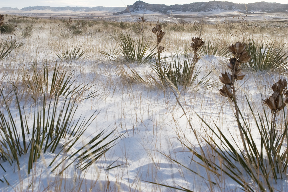 Snow, Wind and Cold