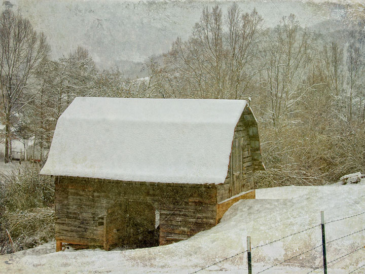 Winter Wonderland