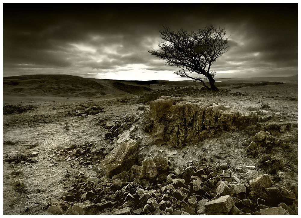 On rocky ground