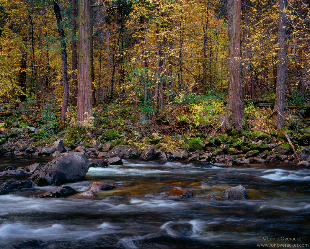 Autumn Stage