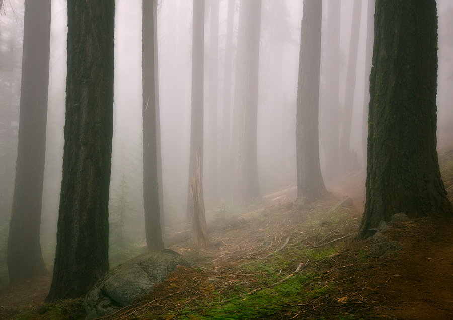 High Sierra Fog + Crop Version