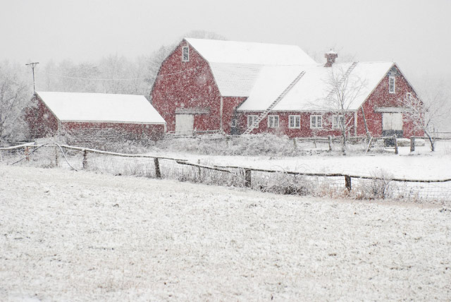 Winter Wonderland