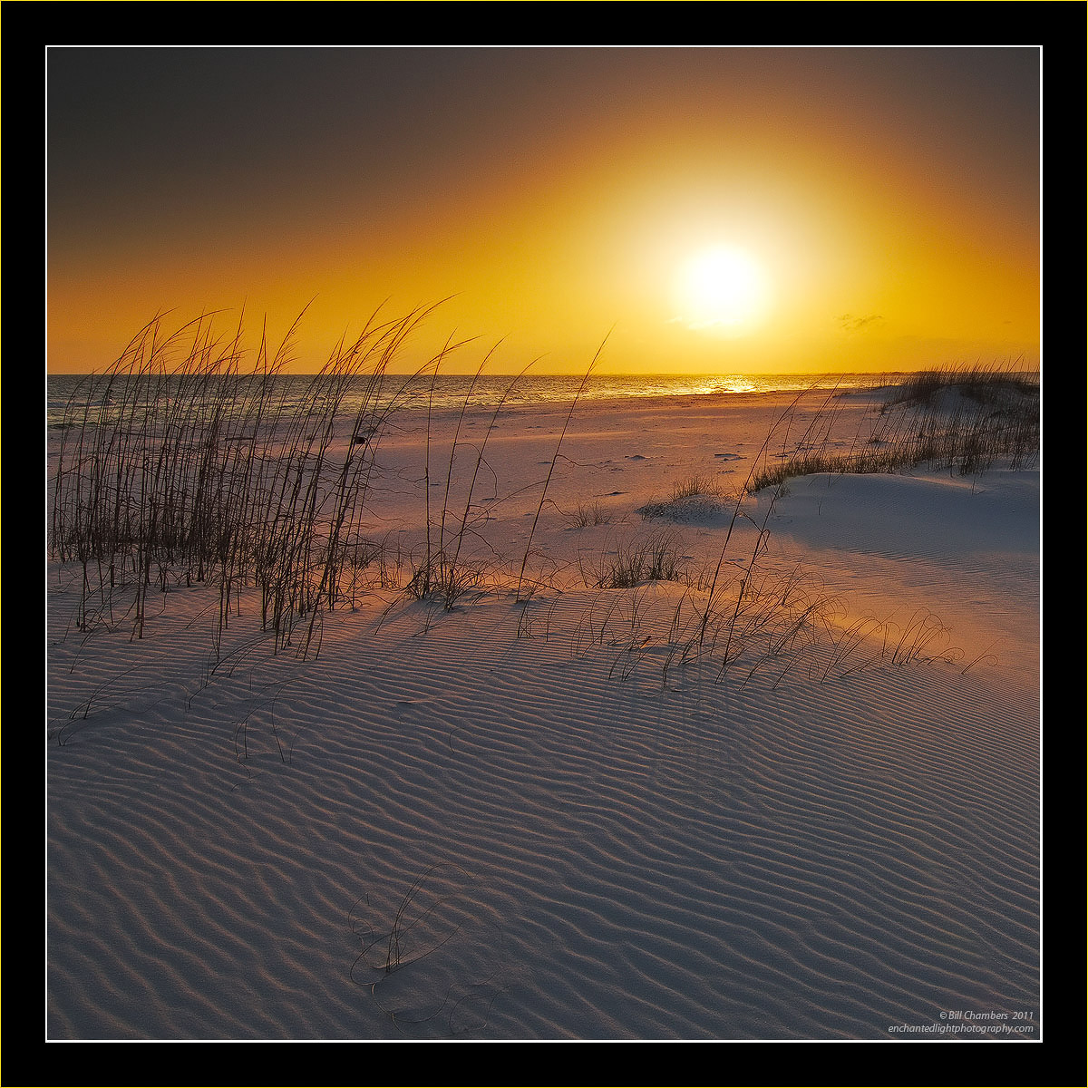 Frozen Sunset