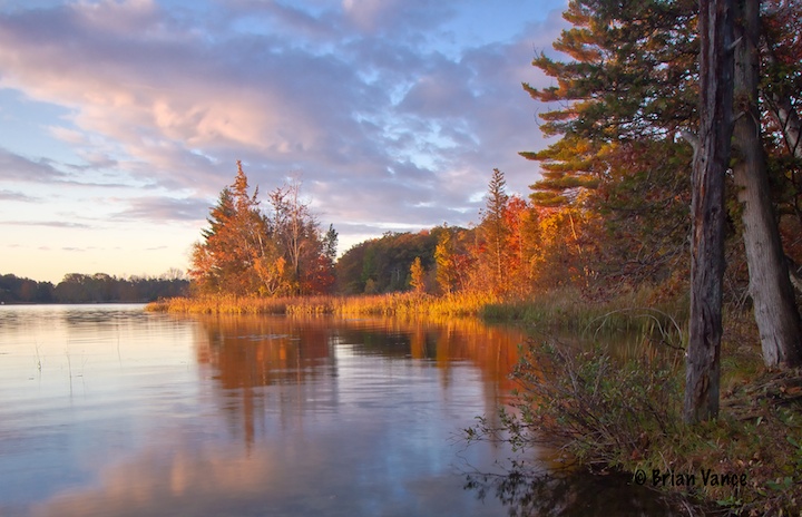 Lost Lake Light