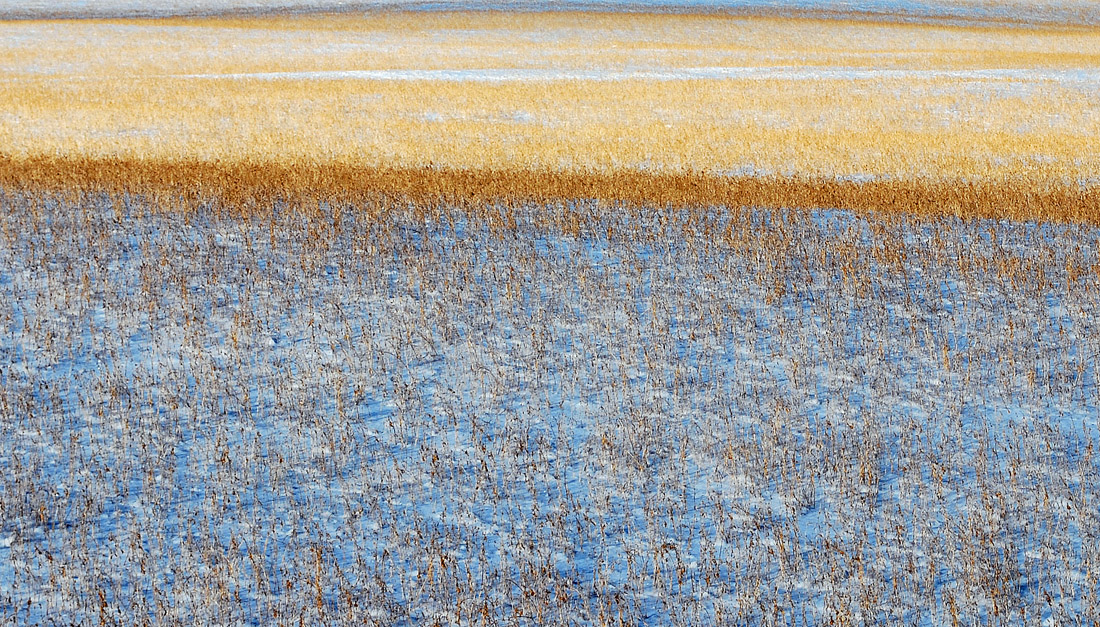 Band of Gold II