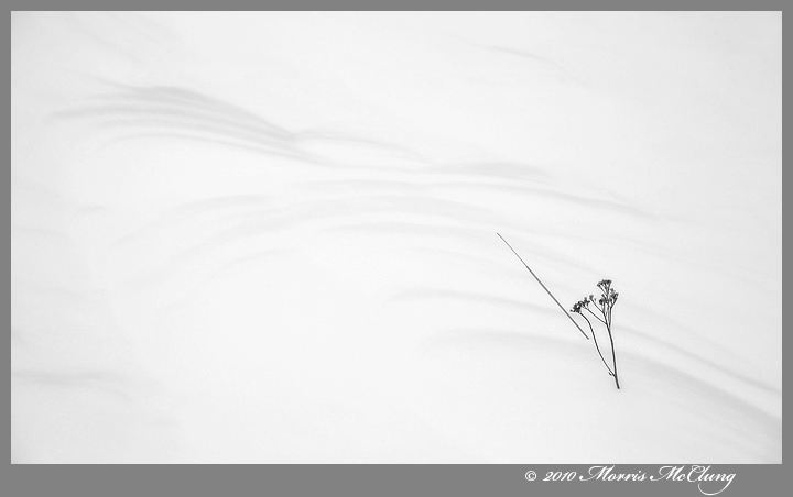 Winter's haiku