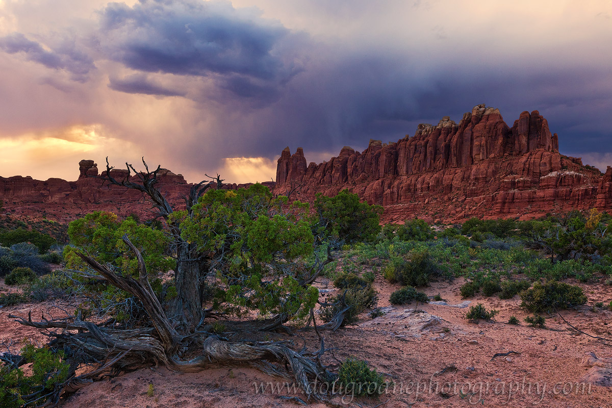 Desert Storm II +Repost