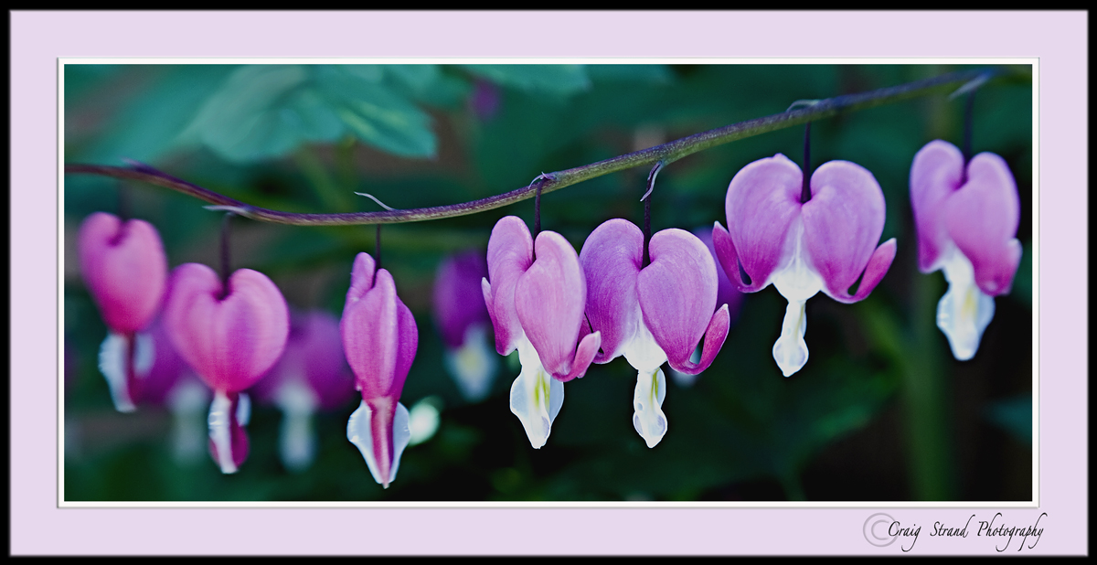 Remember Spring?