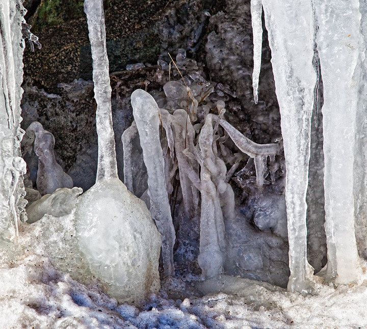 The Ice Family, at home