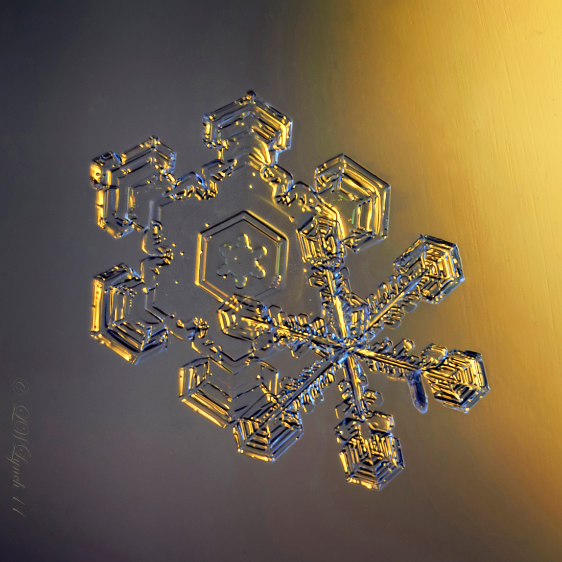 Golden Light