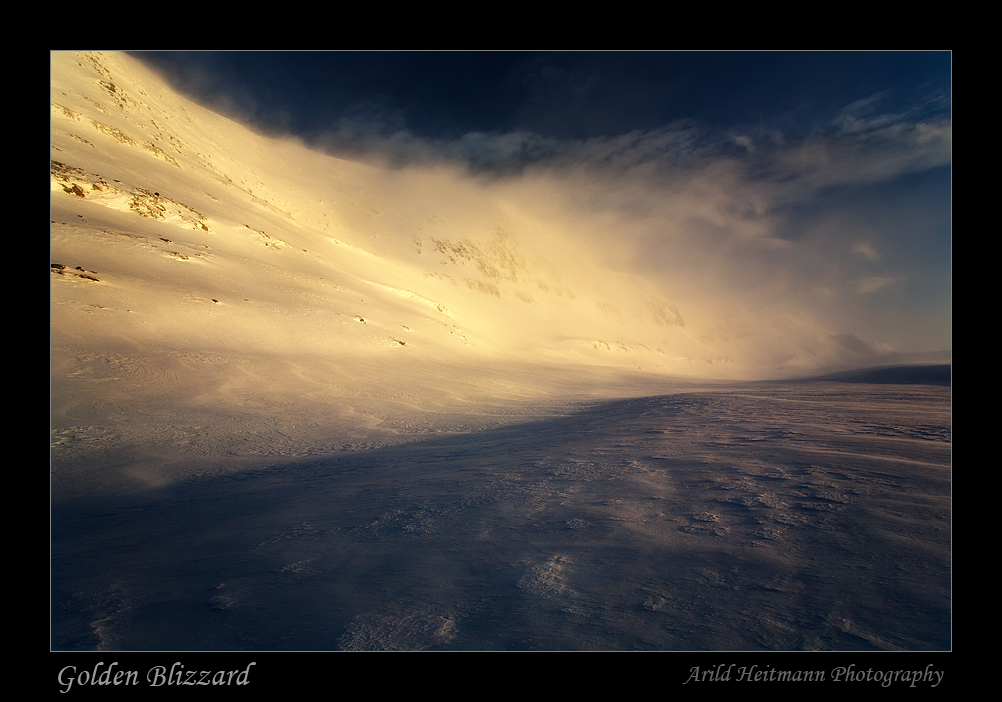 Golden Blizzard