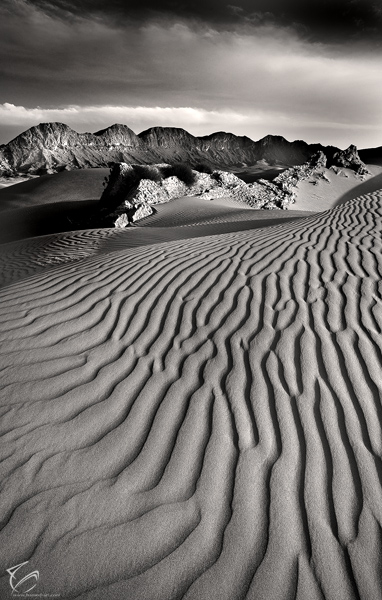 Wilderness - Stan Rose