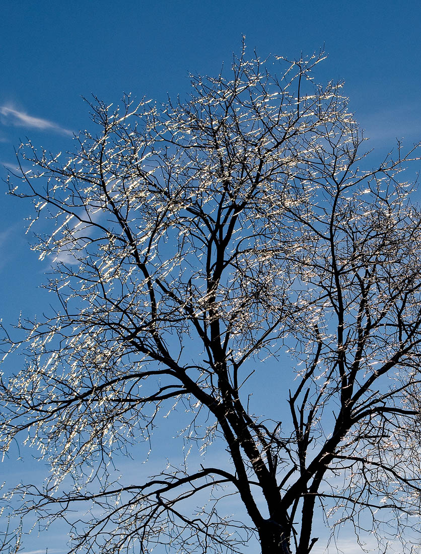 Light Strings (+ repost)
