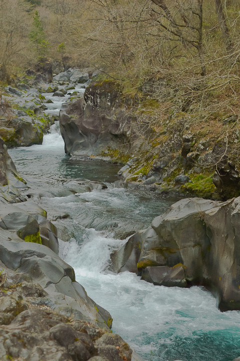 Stream, Nikko (Japan)