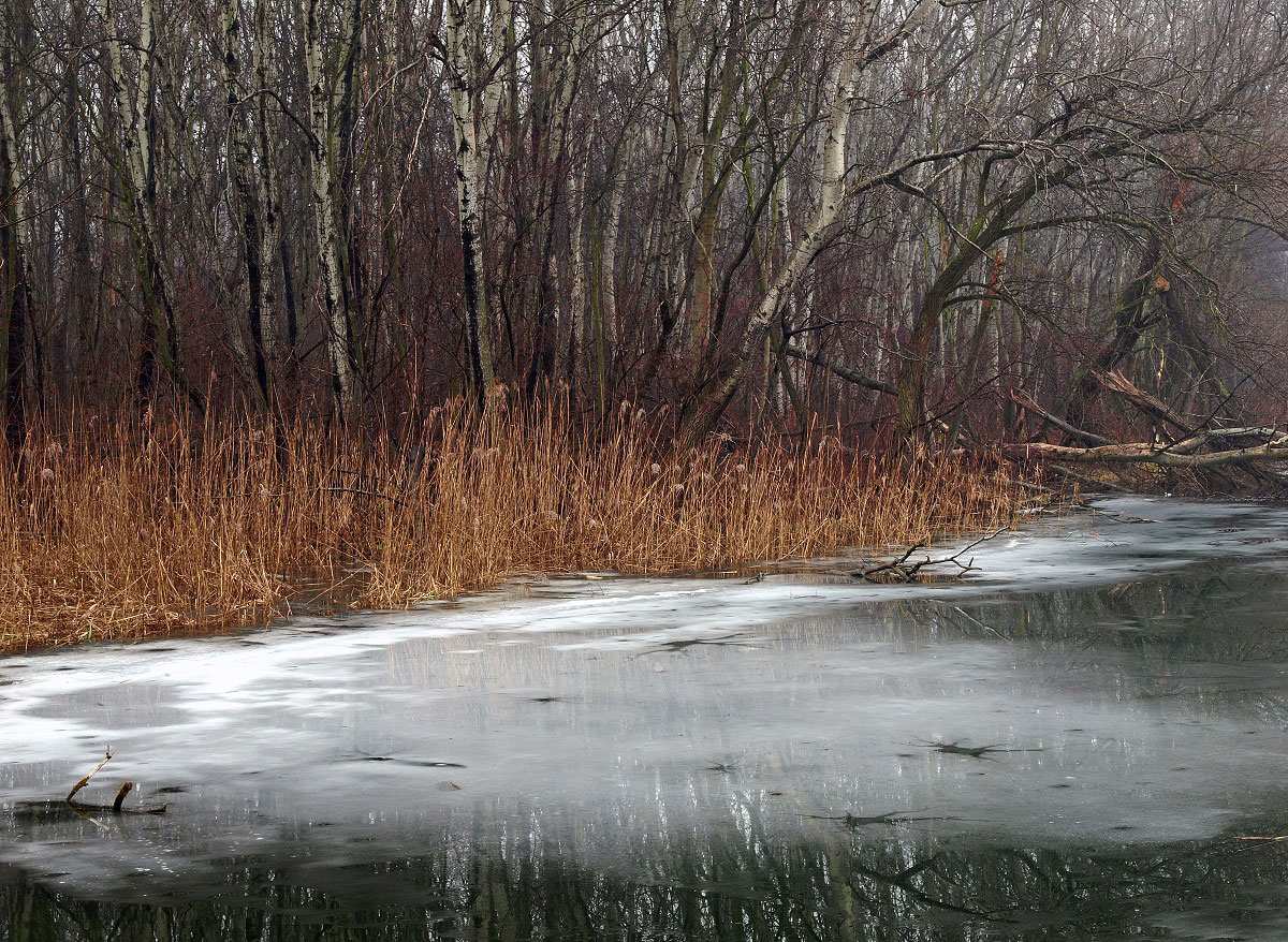 Still Water