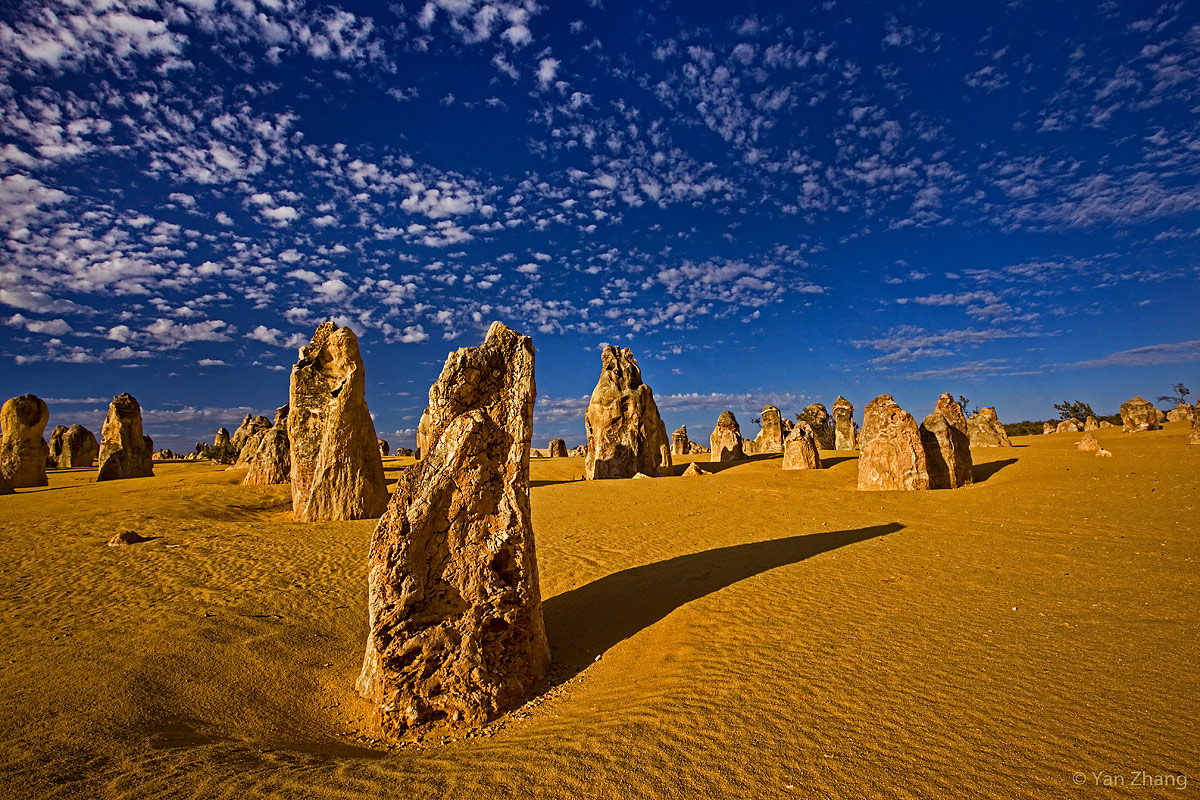 The Pinnacle Desert