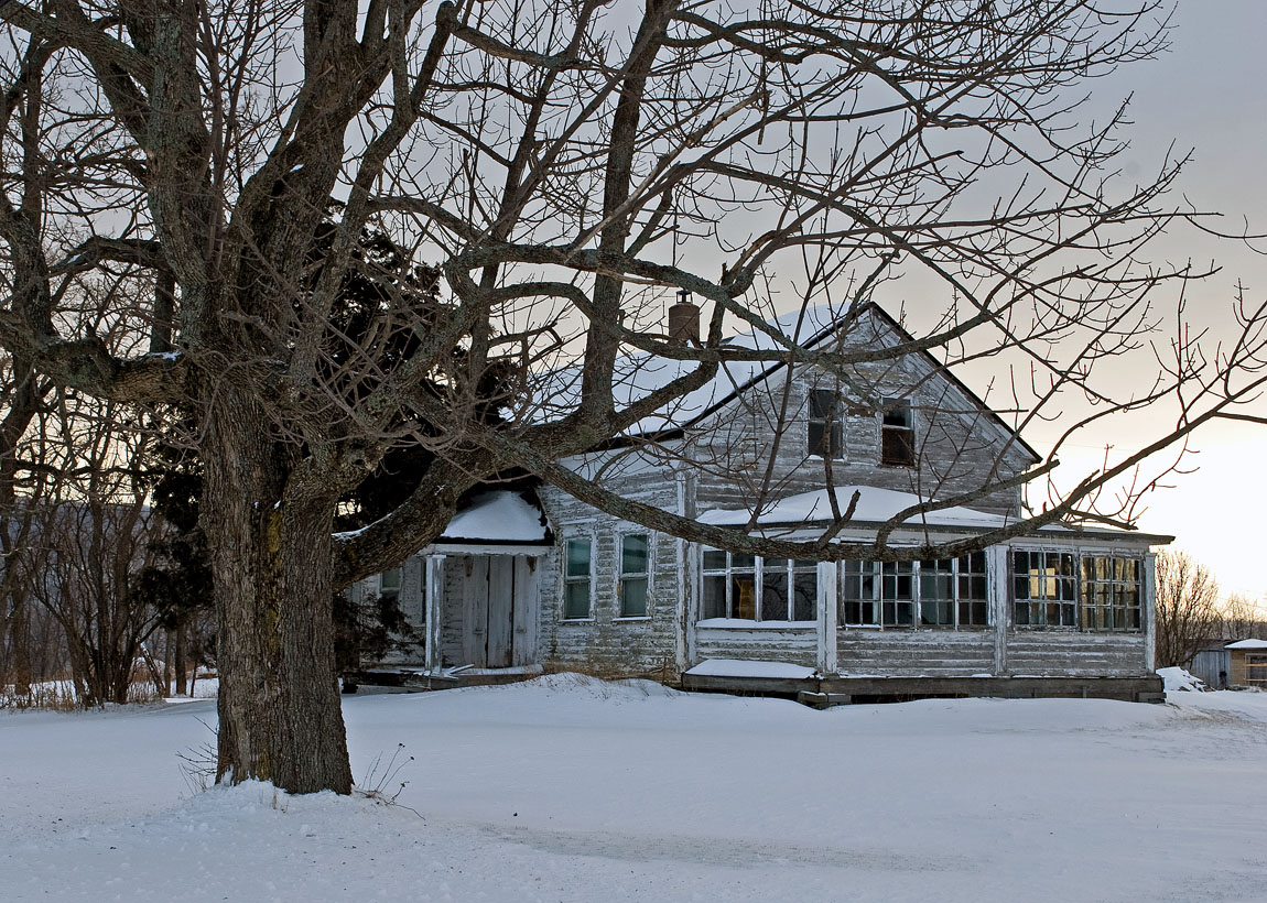 The Homestead