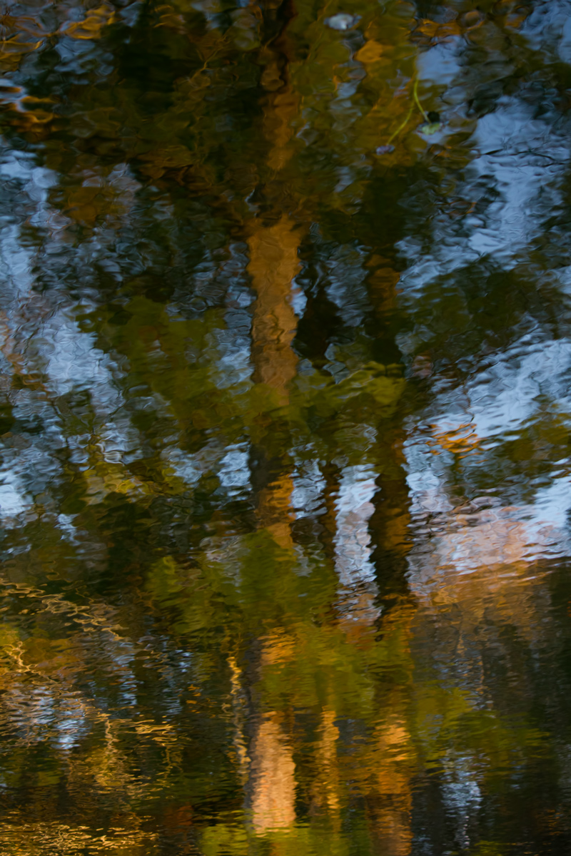 Reflections 2