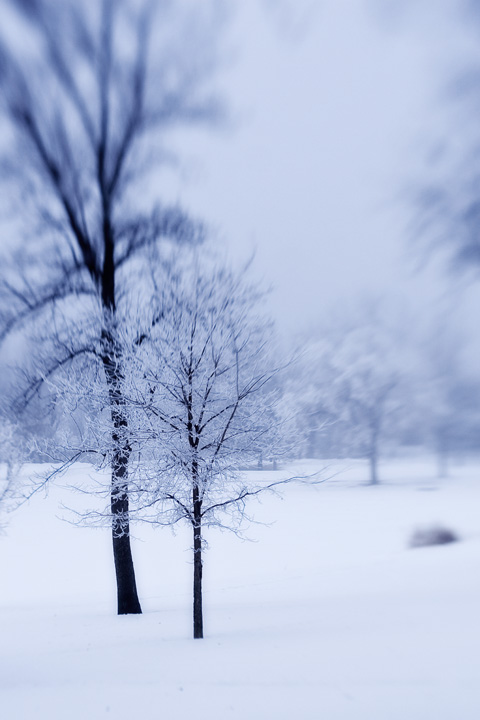 Wintertime 