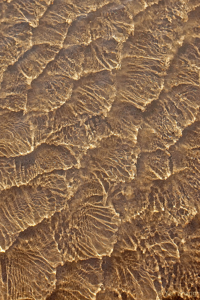 Golden Ripples