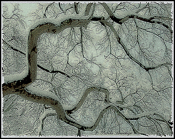 Looking Up (w/repost)