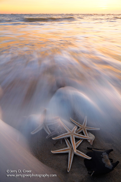 Starfish and Sunset Surf